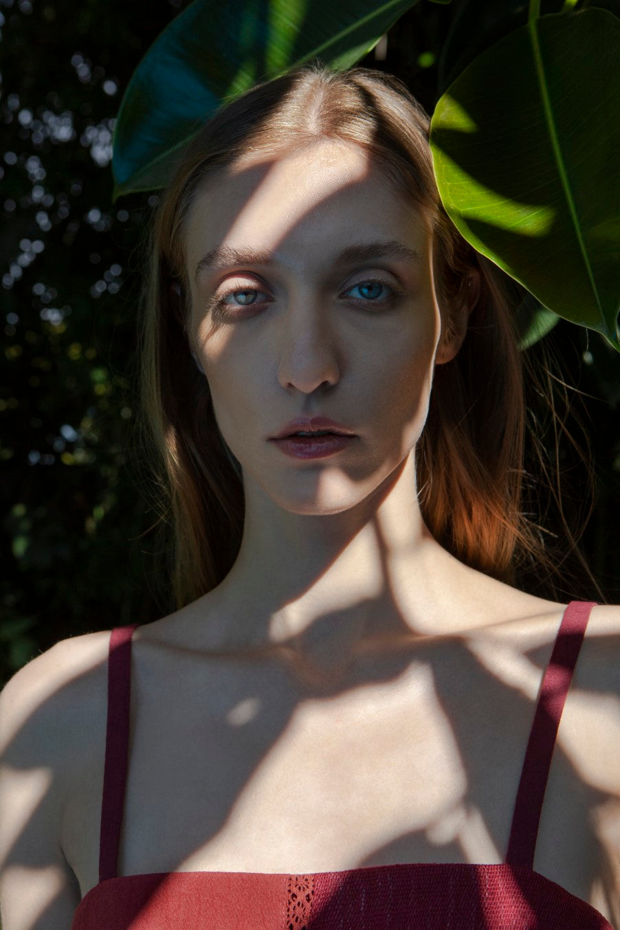 feature-row__image